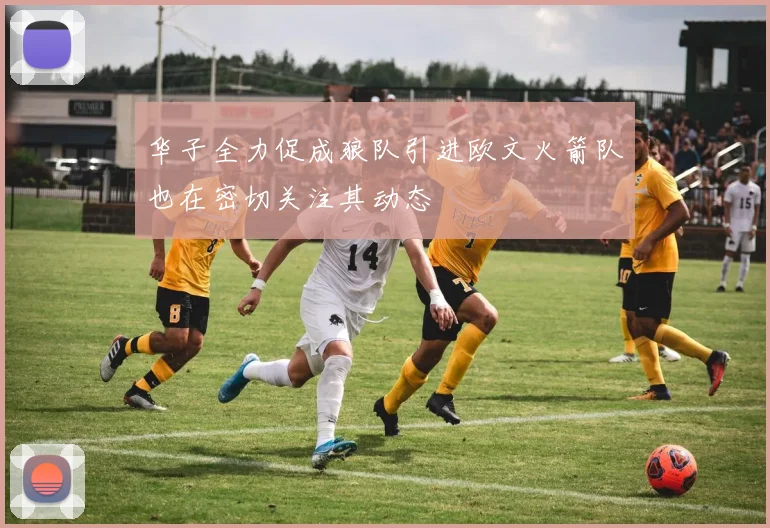 华子全力促成狼队引进欧文火箭队也在密切关注其动态