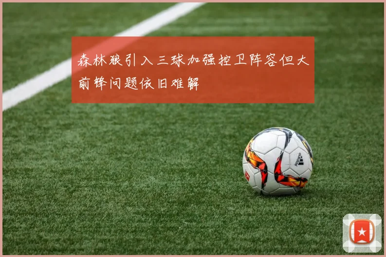 森林狼引入三球加强控卫阵容但大前锋问题依旧难解