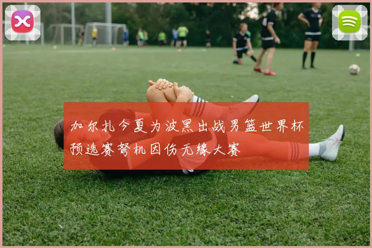 加尔扎今夏为波黑出战男篮世界杯预选赛弩机因伤无缘大赛