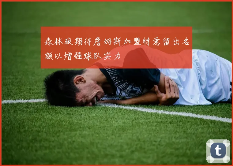 森林狼期待詹姆斯加盟特意留出名额以增强球队实力